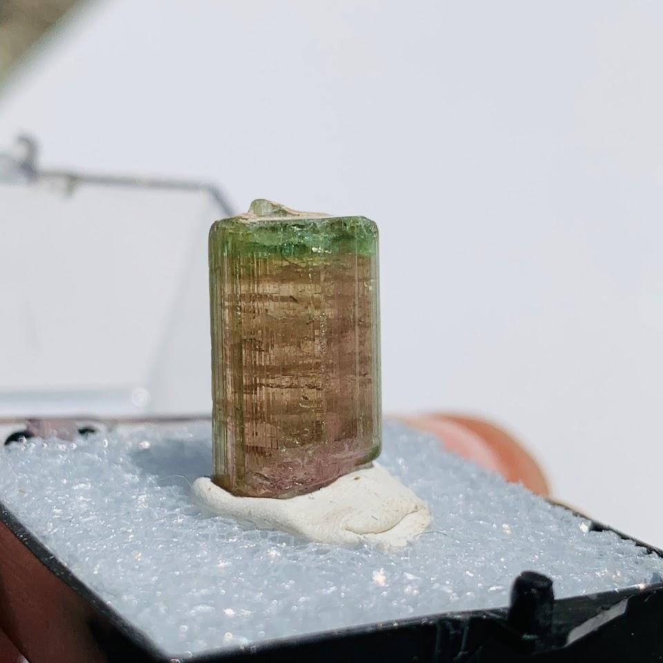 Rare Gemmy Watermelon Tourmaline Point From Brazil in Collectors Box #5 - Earth Family Crystals