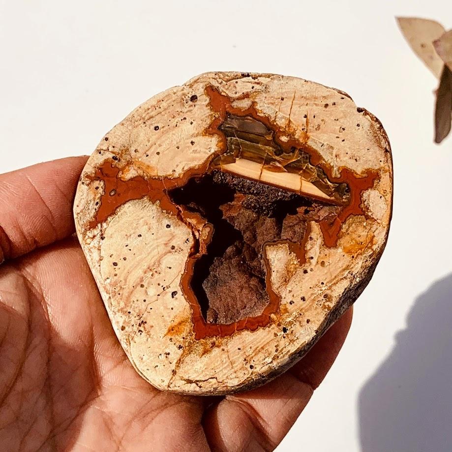 Unique Landscape Agate Geode Hand Collected From Australia Partially Polished - Earth Family Crystals