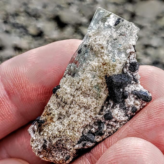 Gemmy Collectors Aquamarine & Black Tourmaline Point From South Africa - Earth Family Crystals