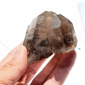 Large Incredible Brilliance Self Healed Multi Point Smoky Quartz Cluster From Brazil - Earth Family Crystals