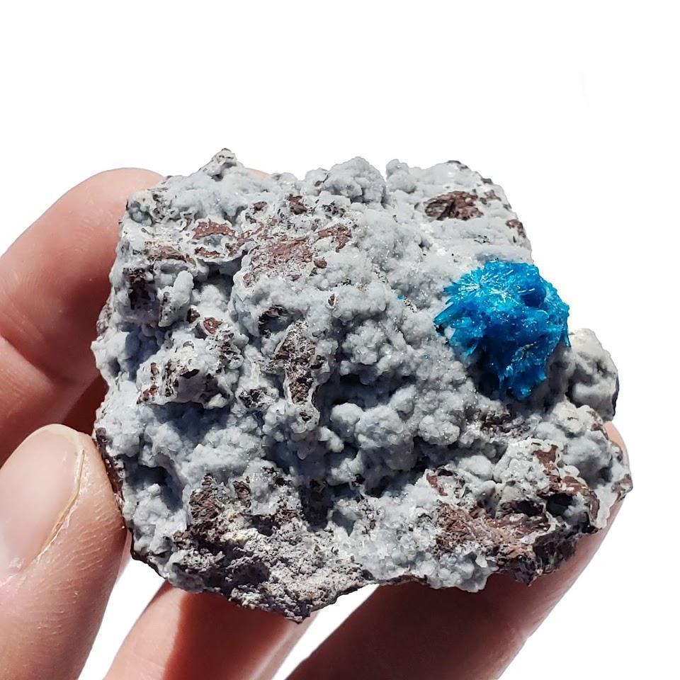 Electric Blue Natural Cavansite Crystal Nestled in Rock Matrix From India - Earth Family Crystals