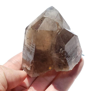 Large Incredible Brilliance Self Healed Multi Point Smoky Quartz Cluster From Brazil - Earth Family Crystals