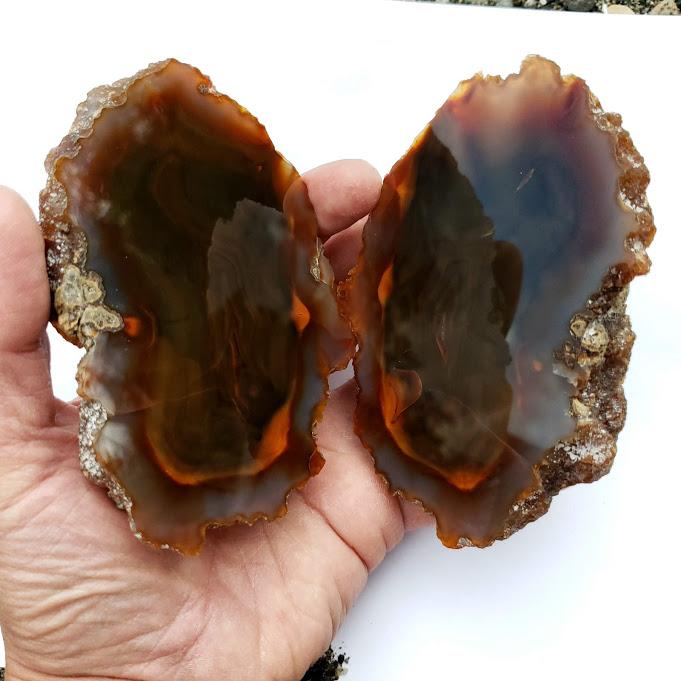 Set of 2 Big & Chunky Complete Condor Agate Partially Polished Halves