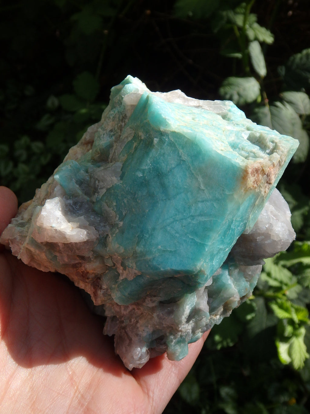 XL Natural Amazonite & Quartz Display Specimen From Colorado - Earth Family Crystals