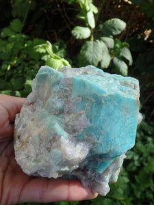 XL Natural Amazonite & Quartz Display Specimen From Colorado - Earth Family Crystals