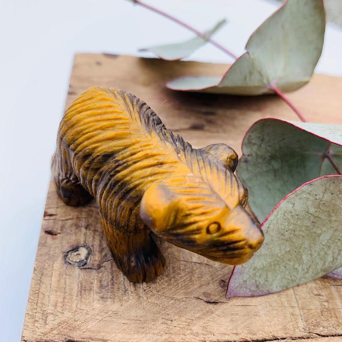 Adorable Tiger Eye Bear Display Carving - Earth Family Crystals