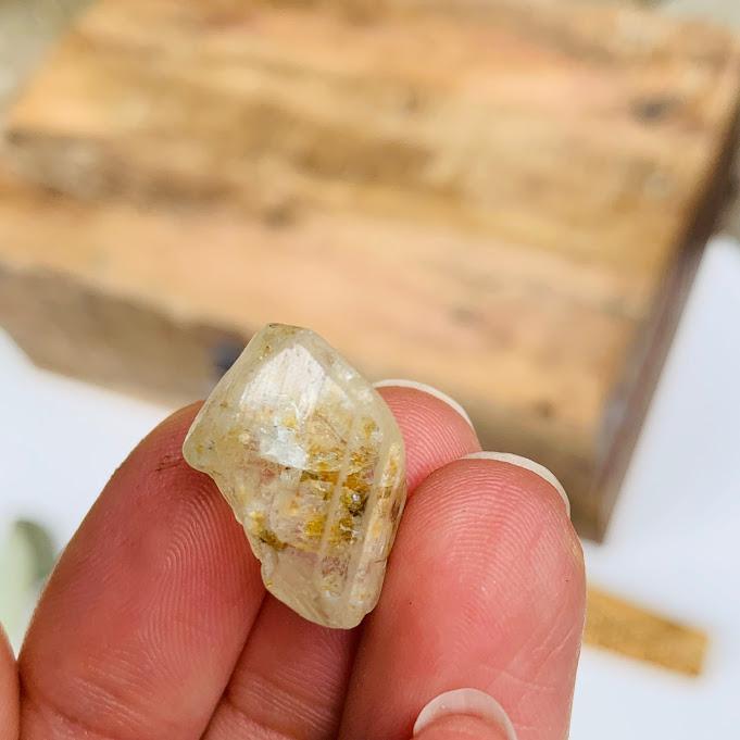 Raw Terminated White Topaz From Park, Colorado in Collectors Box - Earth Family Crystals