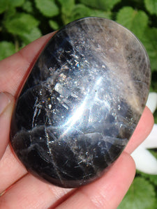 Rainbow Inclusions Black Moonstone Hand Held Specimen From Madagascar