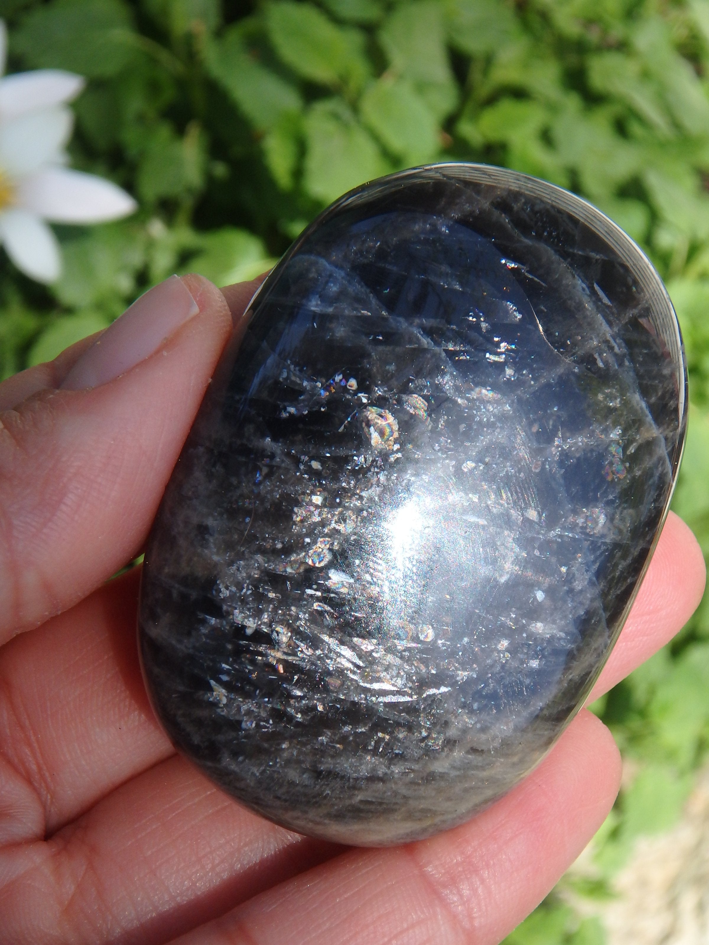 Rainbow Inclusions Black Moonstone Hand Held Specimen From Madagascar