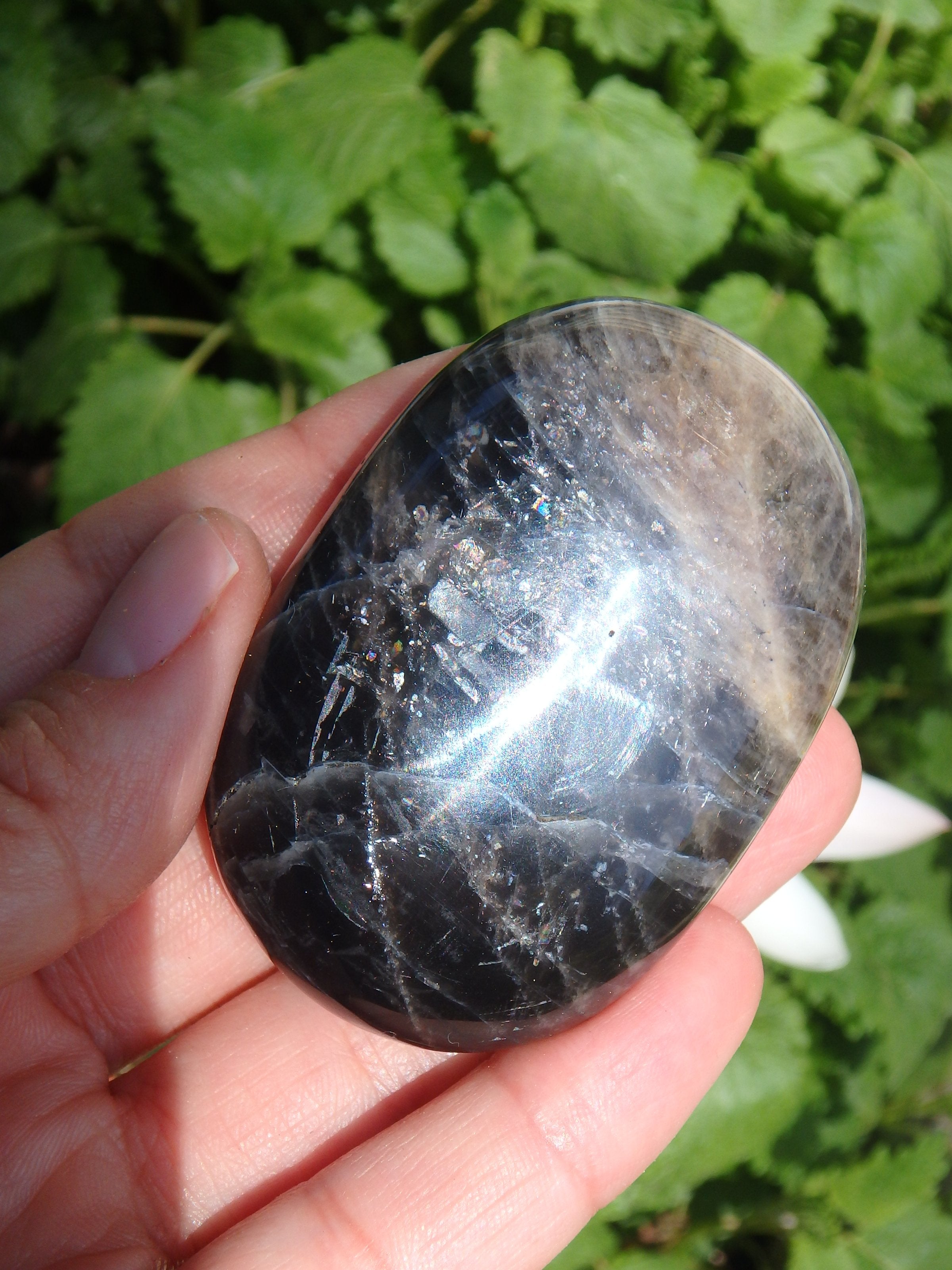 Rainbow Inclusions Black Moonstone Hand Held Specimen From Madagascar