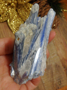 Blades of Blue Kyanite & Quartz Cluster From Brazil 1 - Earth Family Crystals