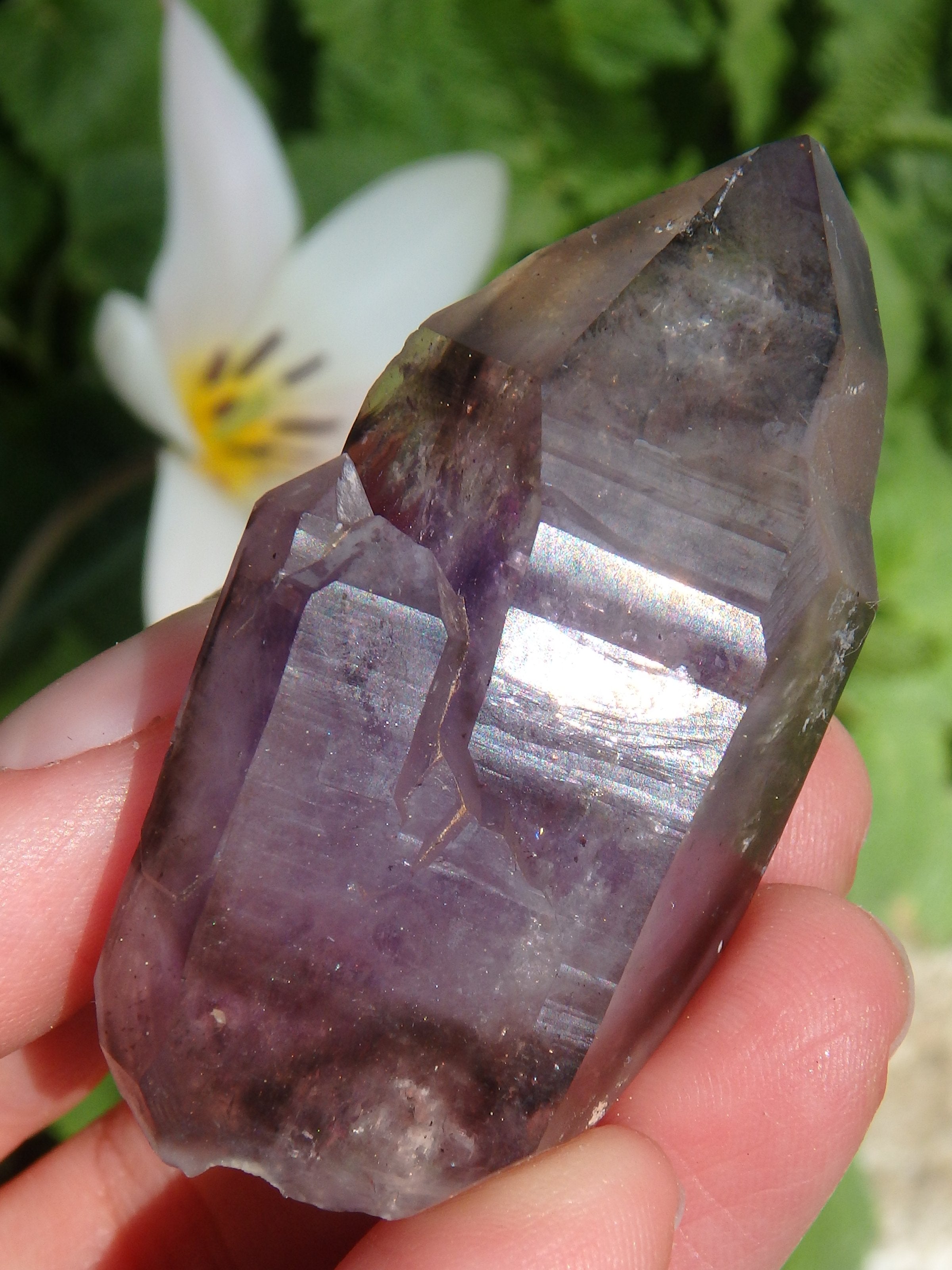 Rare~Moving Water Bubble Deep Purple Brandberg Amethyst Point From Namibia - Earth Family Crystals