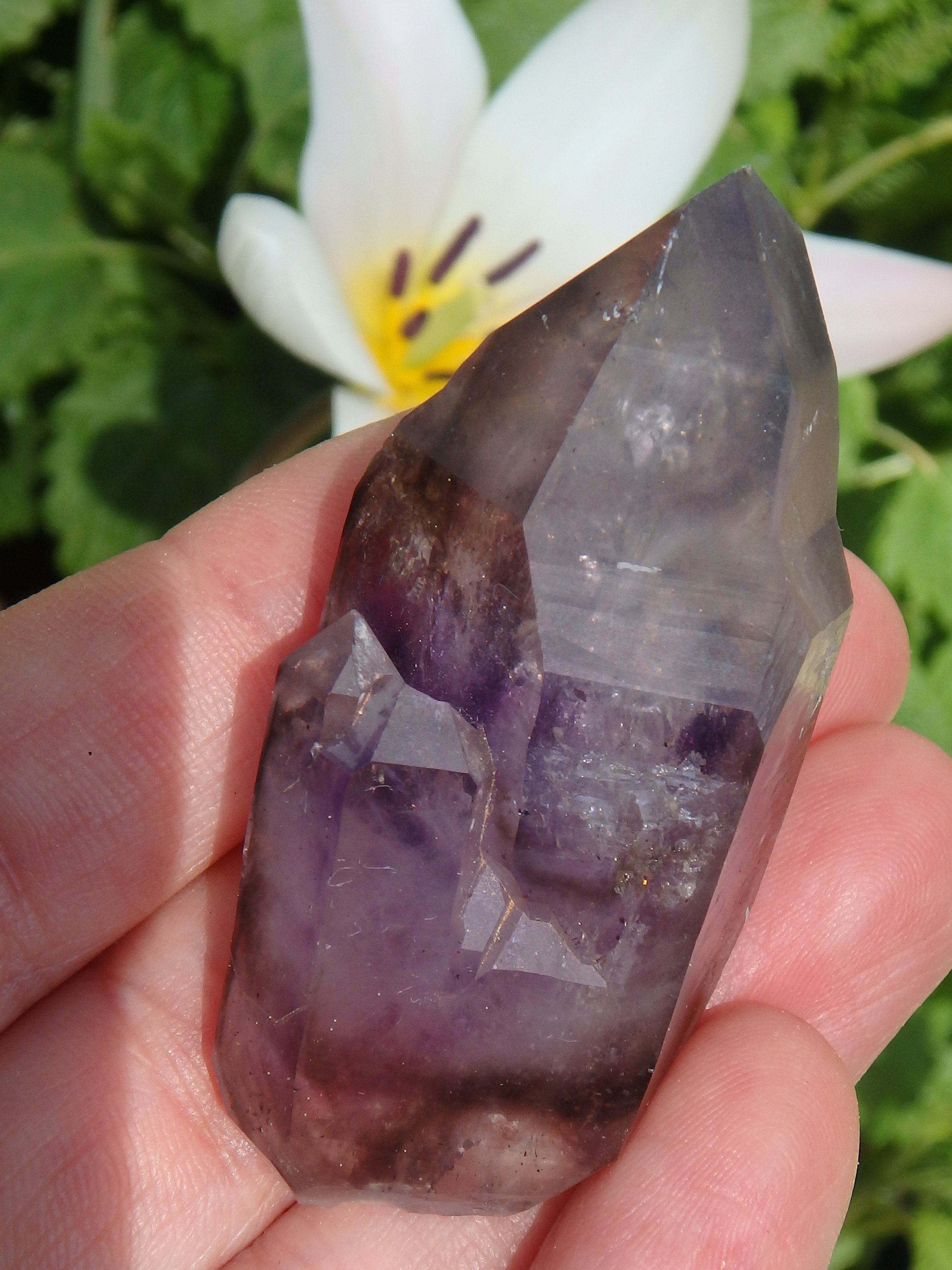 Rare~Moving Water Bubble Deep Purple Brandberg Amethyst Point From Namibia - Earth Family Crystals