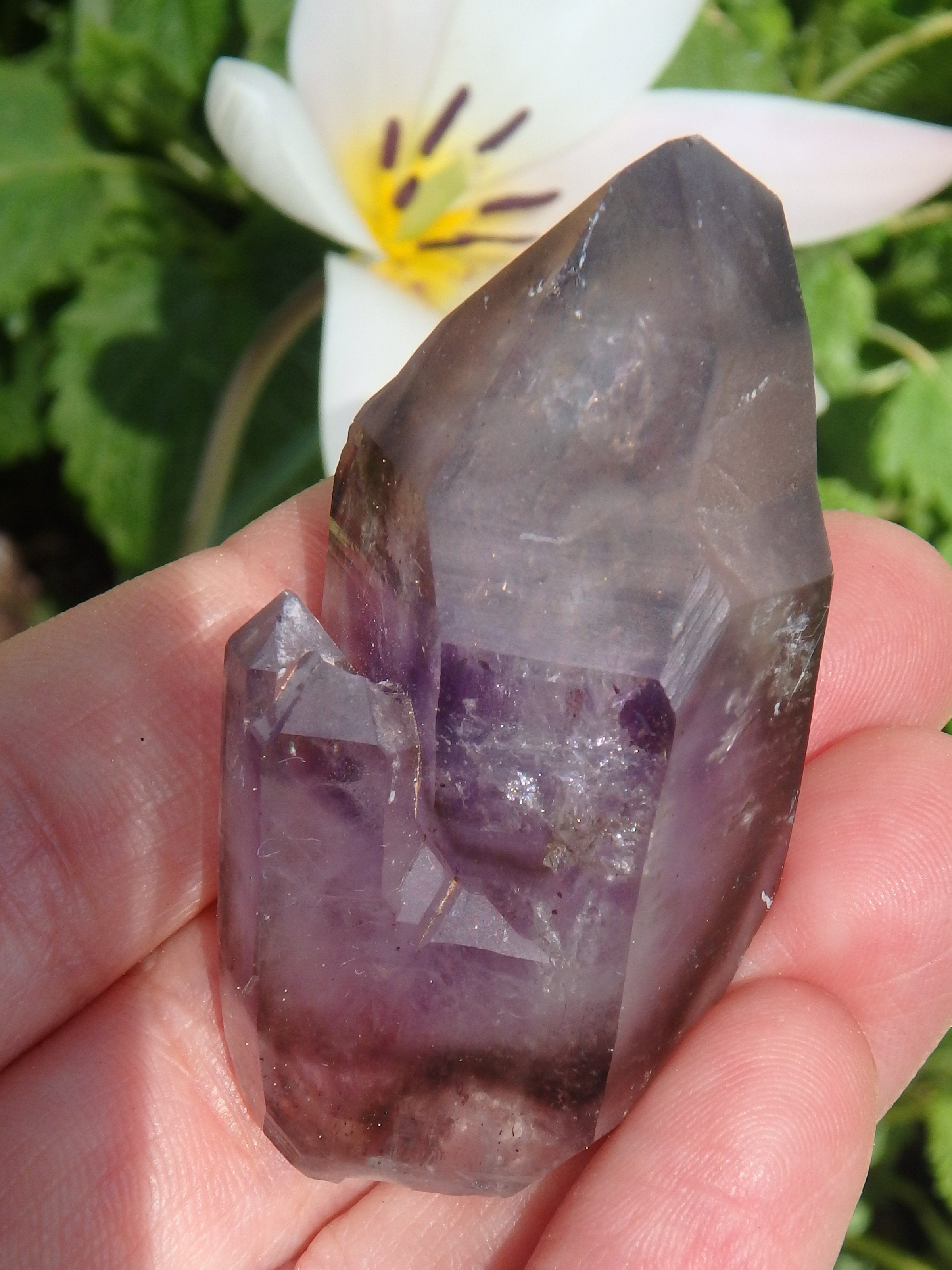 Rare~Moving Water Bubble Deep Purple Brandberg Amethyst Point From Namibia - Earth Family Crystals