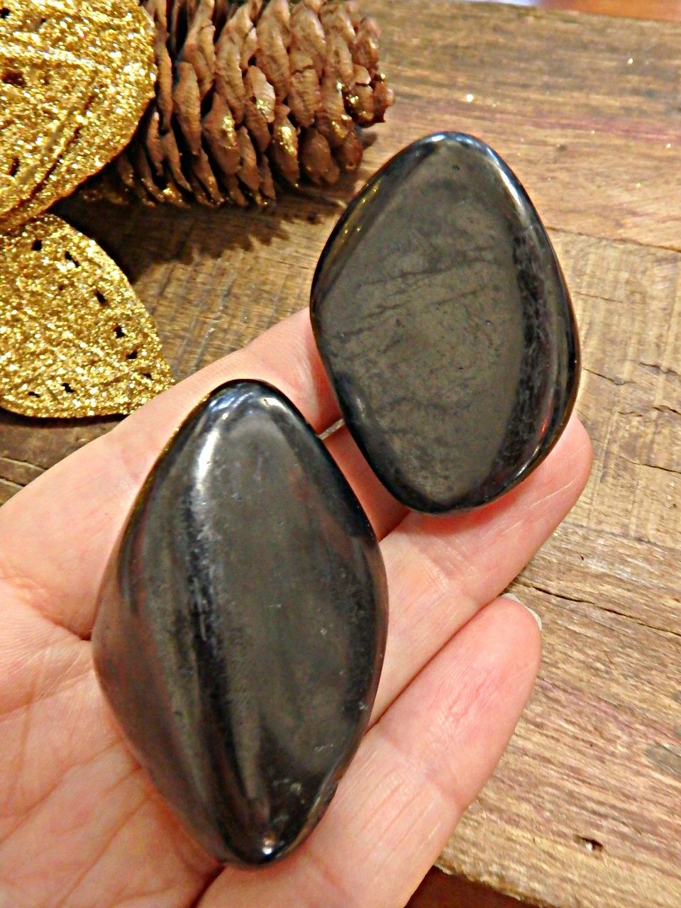 Set of 2 Polished EMF Protective Shungite Palm Stones - Earth Family Crystals