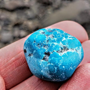 Rare Raw Vibrant Kingman Arizona Genuine Turquoise Specimen #2