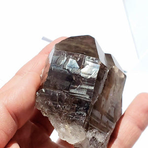 Large Incredible Brilliance Self Healed Multi Point Smoky Quartz Cluster From Brazil - Earth Family Crystals