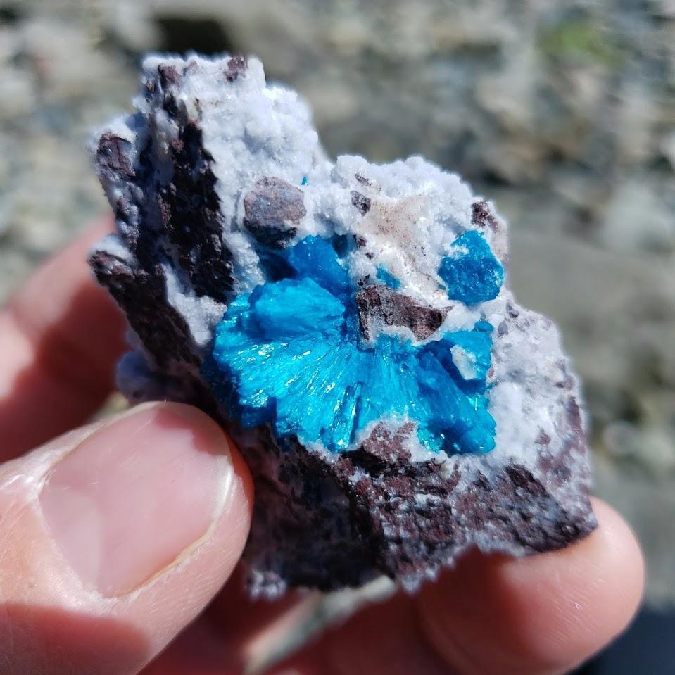 Electric Blue Fanned Cavansite Raw Cluster from India - Earth Family Crystals