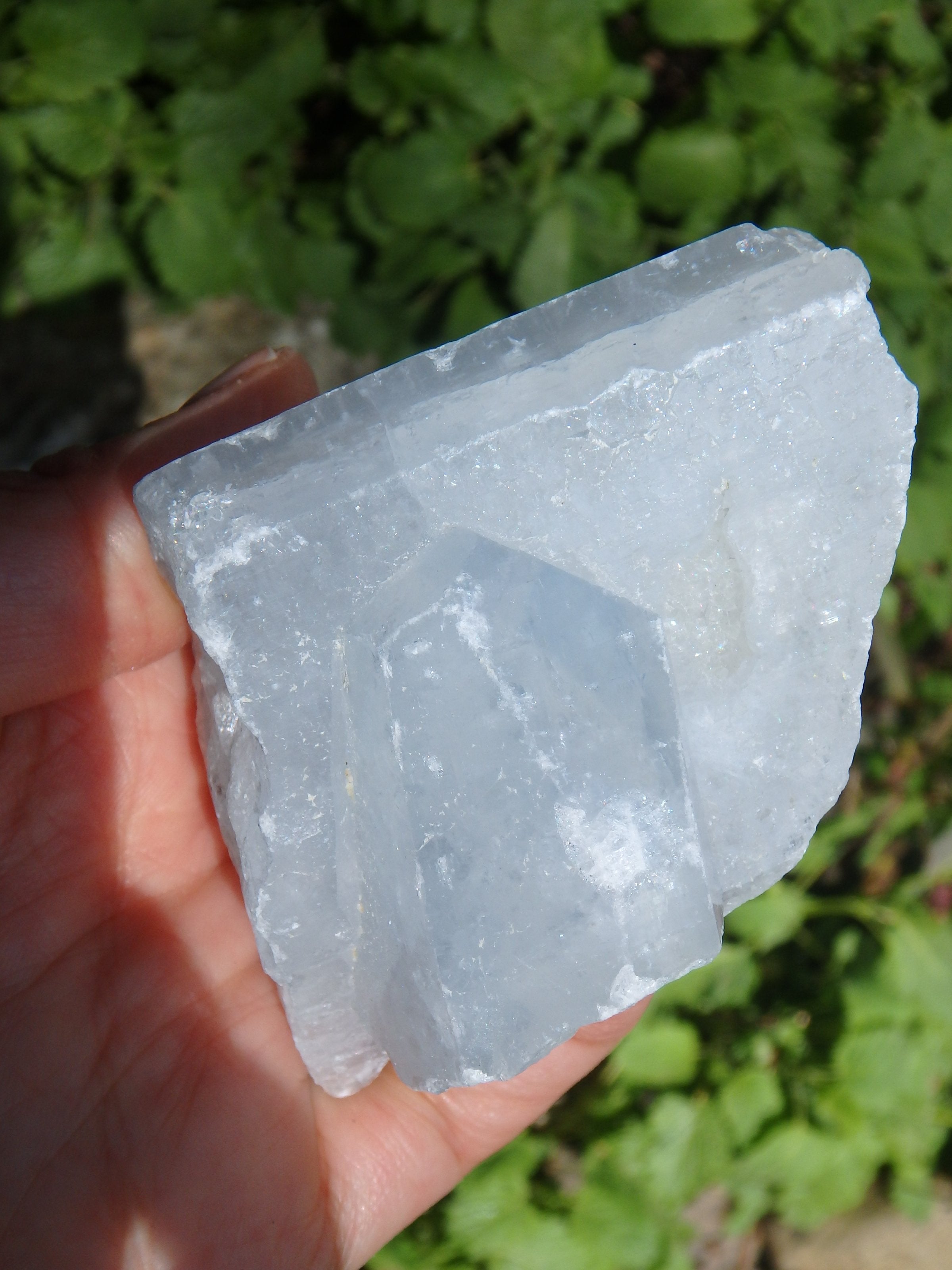 Rare Ohio Celestite~Soothing Sky Blue Raw Celestite Specimen - Earth Family Crystals