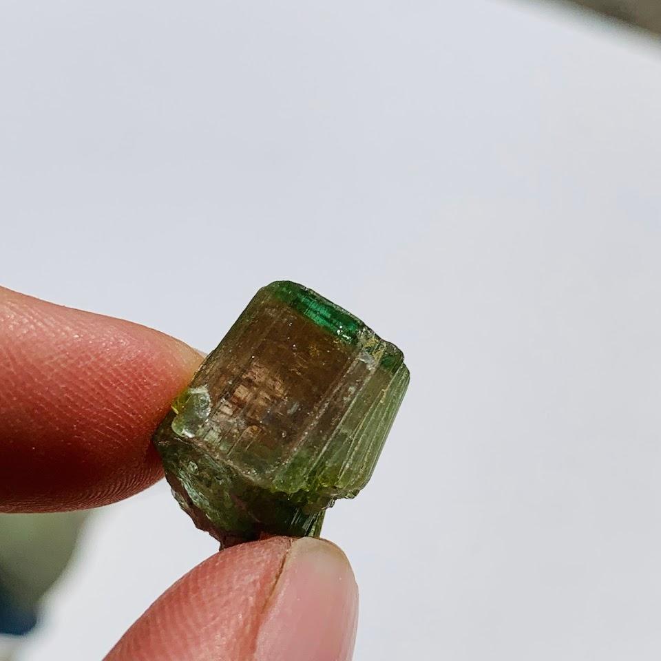 Rare Gemmy Watermelon Tourmaline Point From Brazil in Collectors Box #1 - Earth Family Crystals