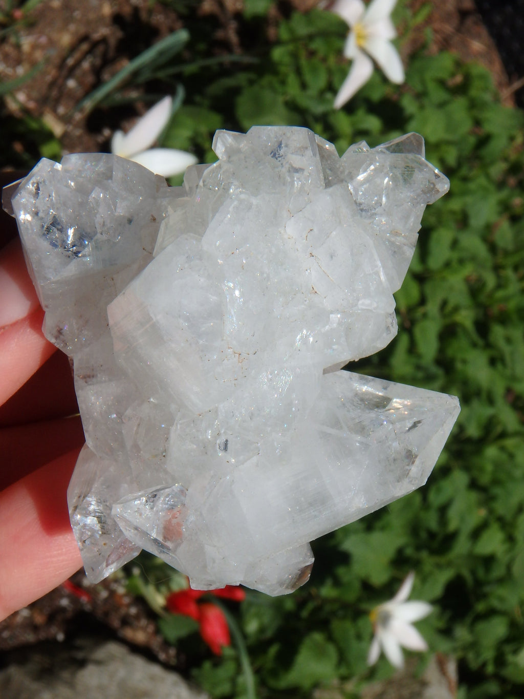Extreme Brilliant Shine Clear Apophyllite Cluster From India - Earth Family Crystals