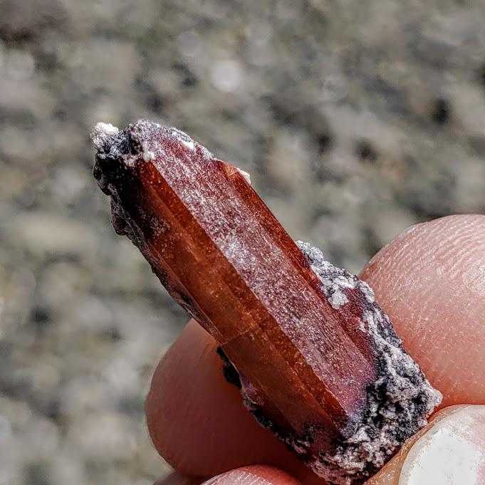 Orange Topaz Point Nestled in Matrix From Mexico #2 - Earth Family Crystals