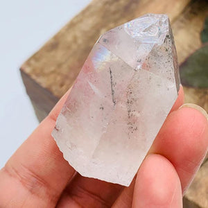 Natural Brazilian Green Chlorite Clear Quartz Point #1 - Earth Family Crystals