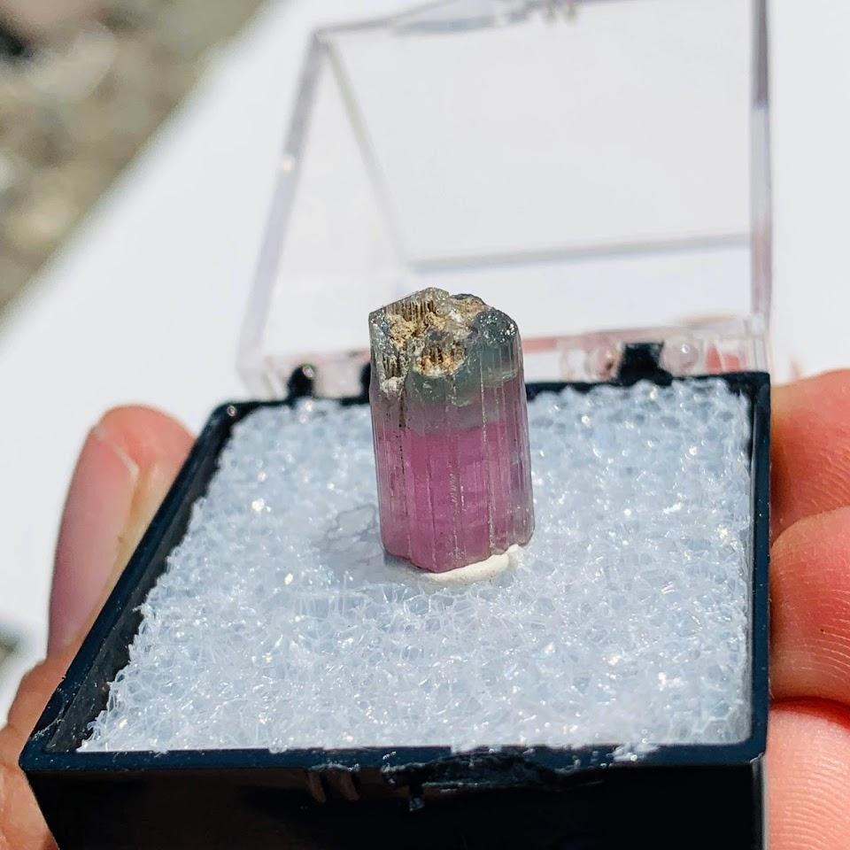 Blue Capped Pink Tourmaline Raw Specimen From Brazil in Collectors Box #6 - Earth Family Crystals