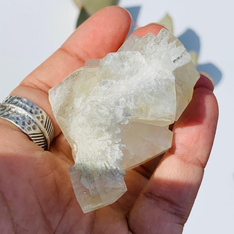 Gemmy Green & Clear Apophyllite Cluster from India #8 - Earth Family Crystals