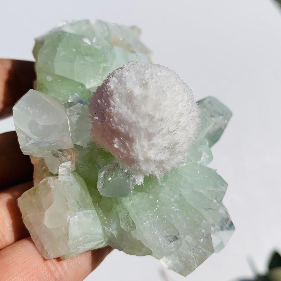 Rare Creamy White Mordenite Nestled in Green Apophyllite Matrix from India - Earth Family Crystals