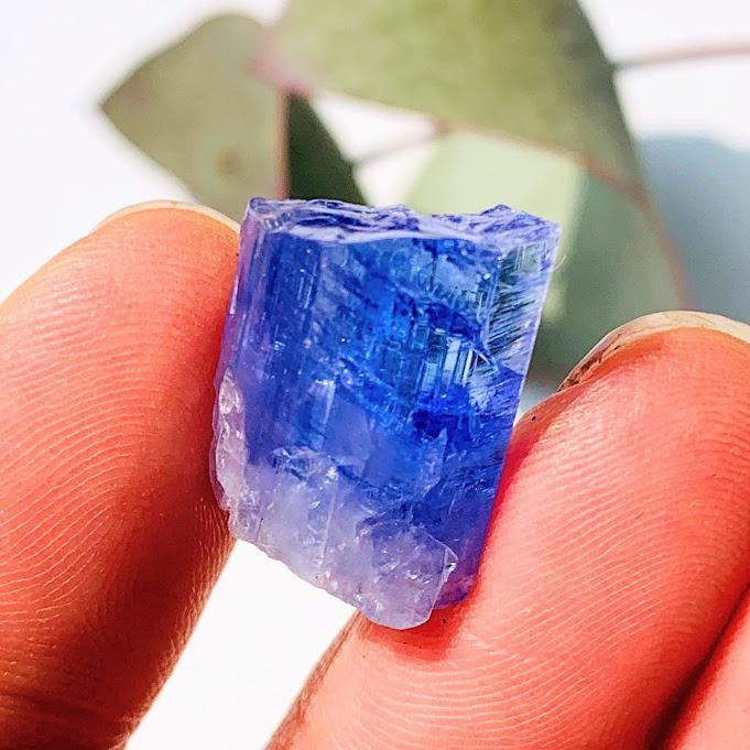 19CT High Grade Gemmy Tanzanite Specimen in Collectors Box #2 - Earth Family Crystals