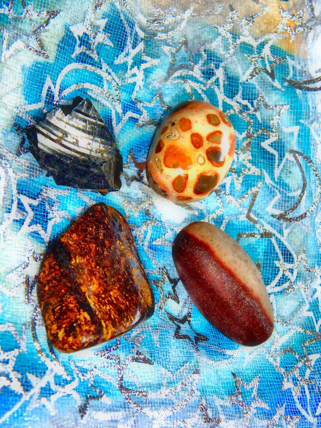 Root Chakra Helper Kit ( Includes Bronzite, Noble Shungite, Shiva Lingam, Leopard Skin Jasper) - Earth Family Crystals