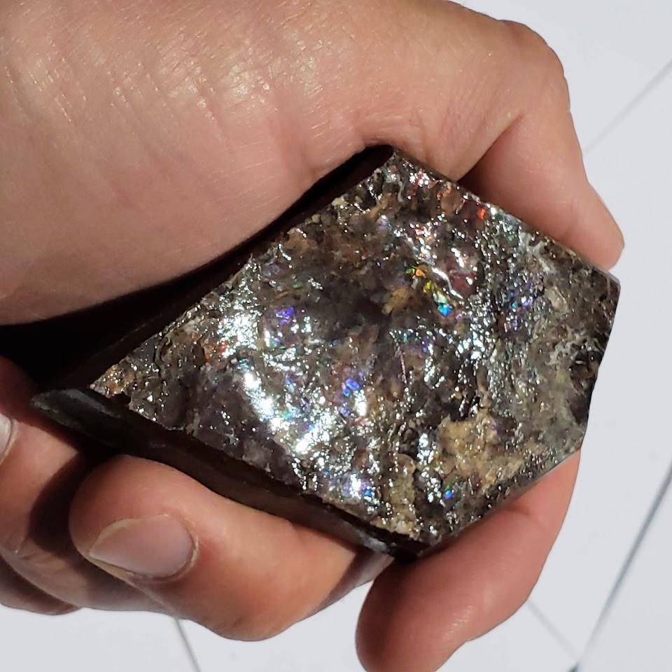 Chunky Alberta Ammolite Fossil Free Form Hand Held Specimen #2 - Earth Family Crystals