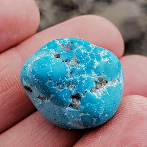 Rare Raw Vibrant Kingman Arizona Genuine Turquoise Specimen #2