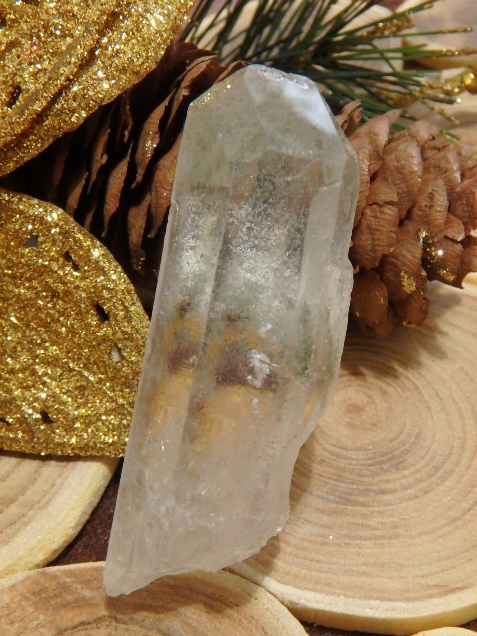 Natural & Unpolished Green Chlorite Included Quartz Point From Brazil 1 - Earth Family Crystals