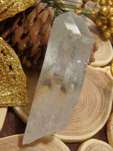 Natural & Unpolished Green Chlorite Included Quartz Point From Brazil 1 - Earth Family Crystals