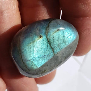 Pretty Labradorite Small Palm Stone #1 - Earth Family Crystals