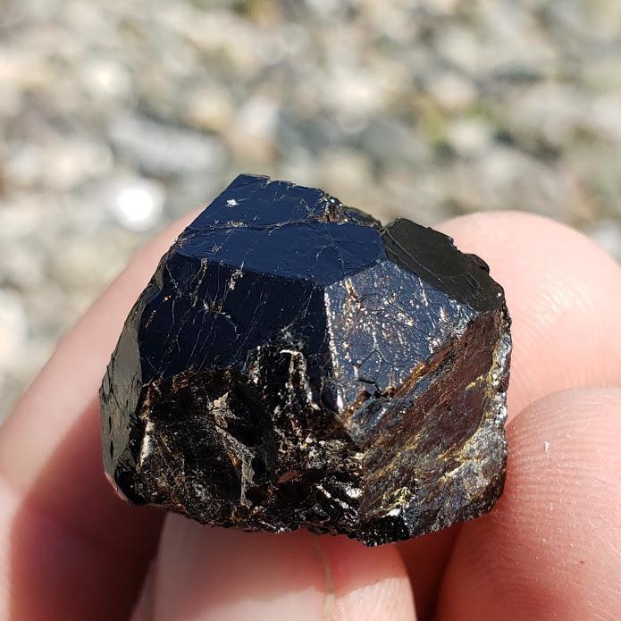 Deep Burgundy Andradite Garnet from Mexico in Collectors Box - Earth Family Crystals