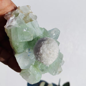 Rare Creamy White Mordenite Nestled in Green Apophyllite Matrix from India - Earth Family Crystals