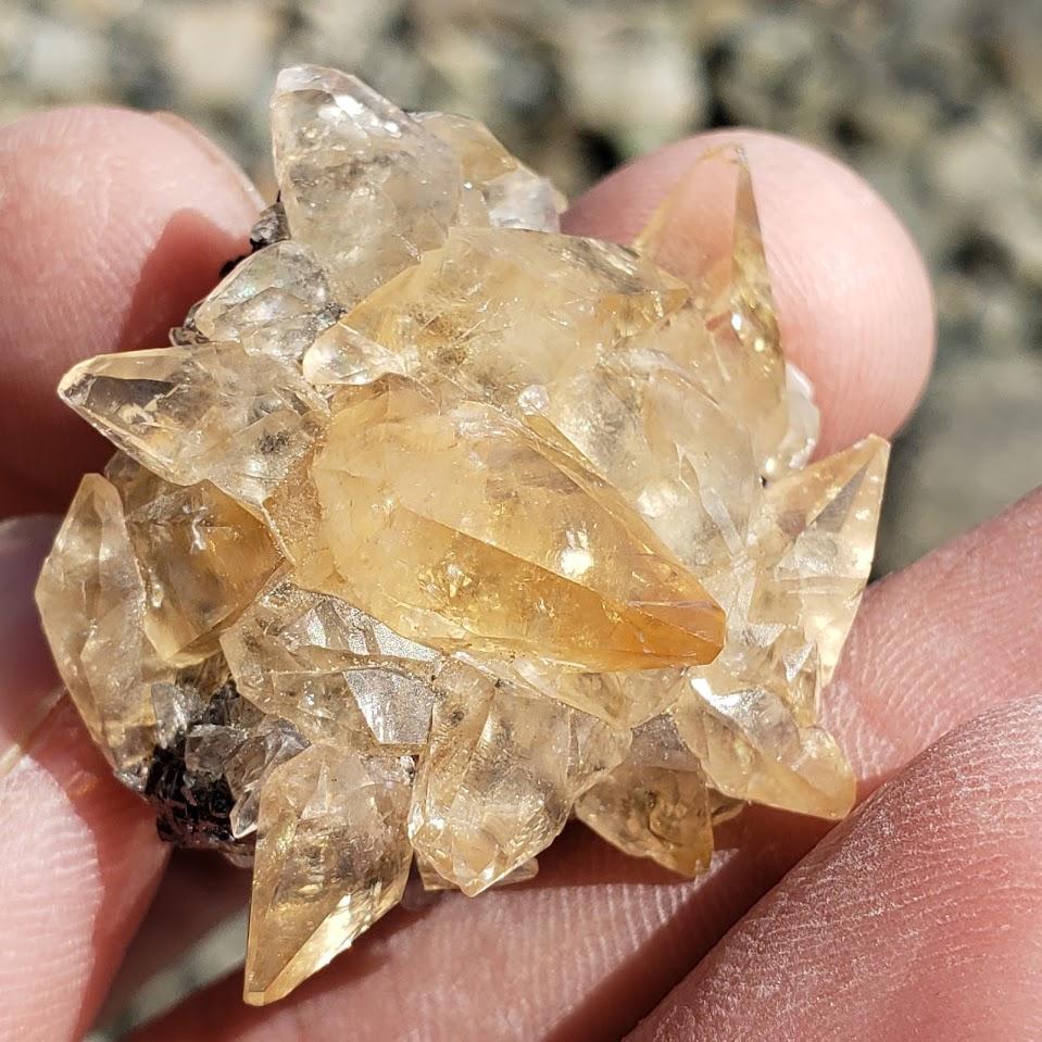 Famous Locality~Elmwood Mine Golden Stellar Beam Calcite Points nestled in Sphalerite Matrix - Earth Family Crystals