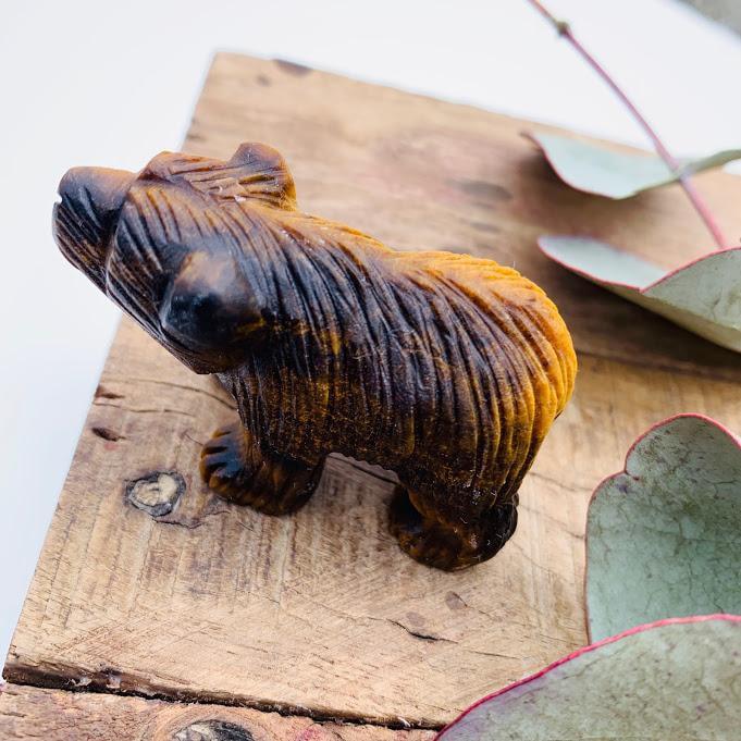 Adorable Tiger Eye Bear Display Carving - Earth Family Crystals