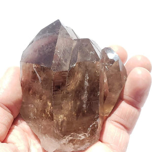 Large Incredible Brilliance Self Healed Multi Point Smoky Quartz Cluster From Brazil - Earth Family Crystals
