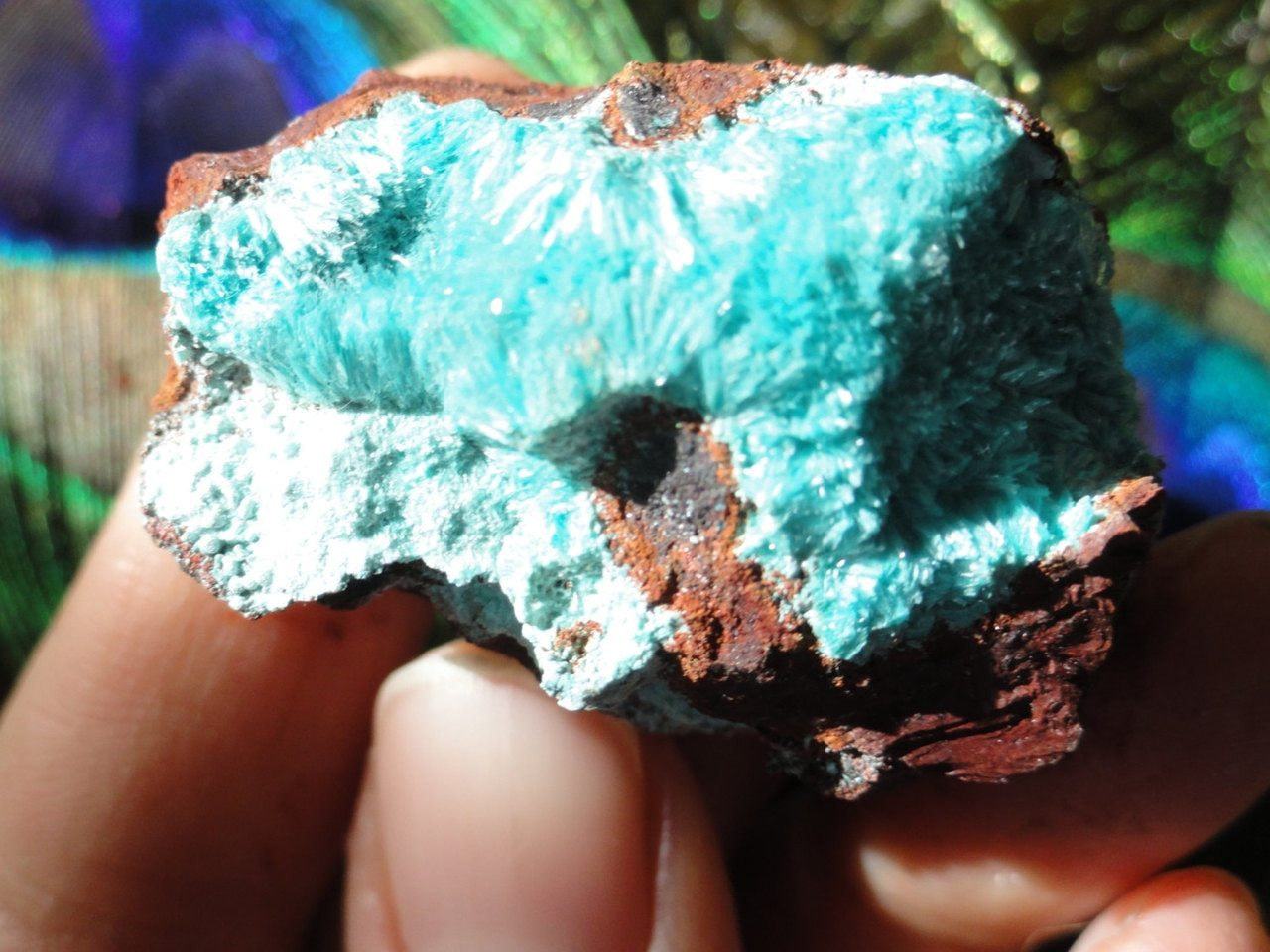 Delicate Fuzzy Blue ROSASITE SPECIMEN* - Earth Family Crystals