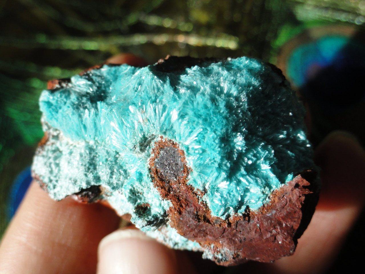 Delicate Fuzzy Blue ROSASITE SPECIMEN* - Earth Family Crystals