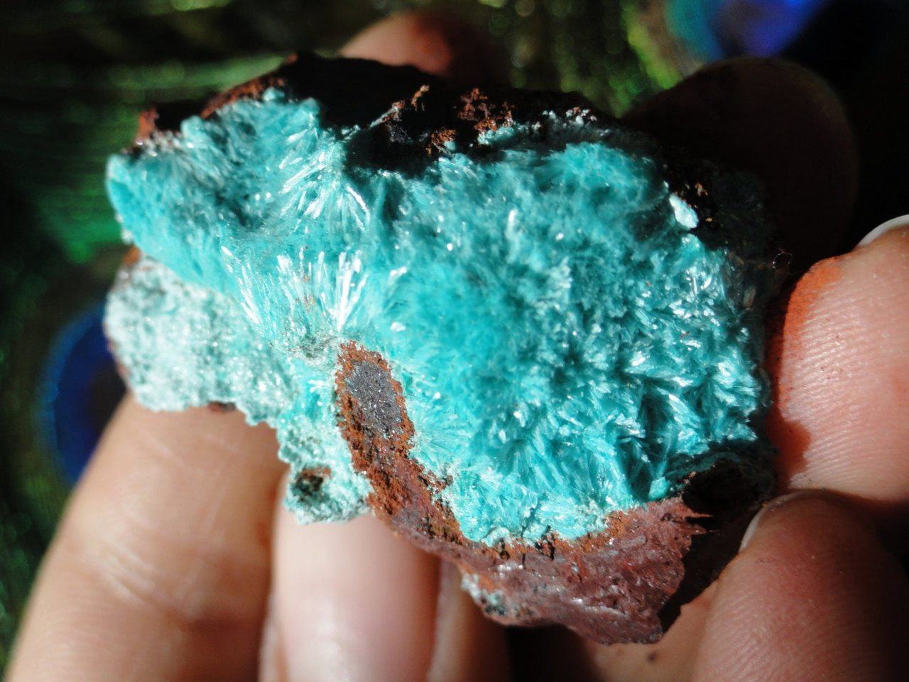 Delicate Fuzzy Blue ROSASITE SPECIMEN* - Earth Family Crystals