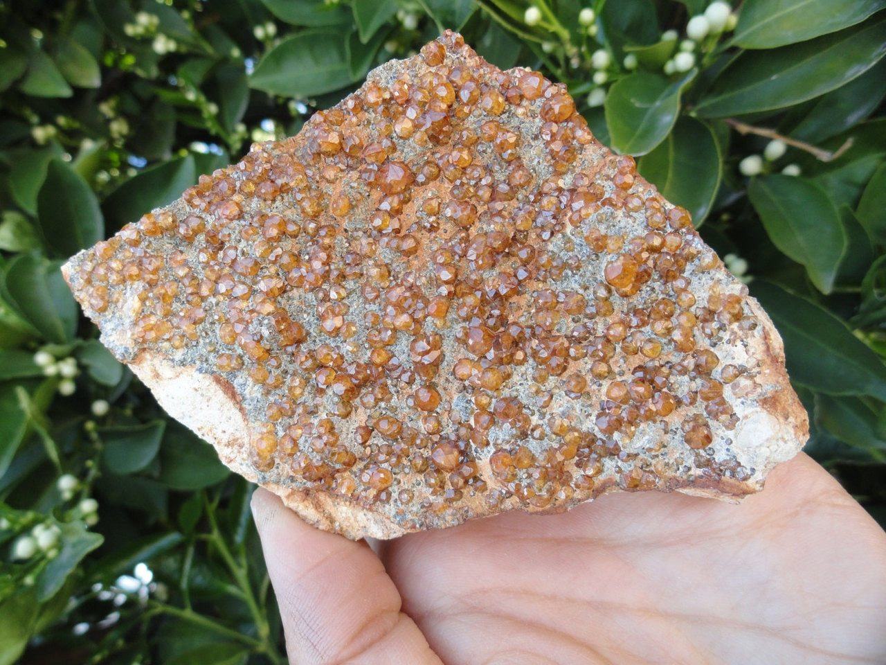 Amazing Orange SPESSARTINE GARNET ~ Stone of  Balance, Creativity, Happiness* - Earth Family Crystals