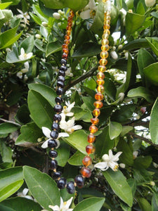 BALTIC AMBER RAINBOW Necklace (18 inch length) Cherry Amber, Cognac Amber,Dark Cognac Amber, Lemon Amber* - Earth Family Crystals