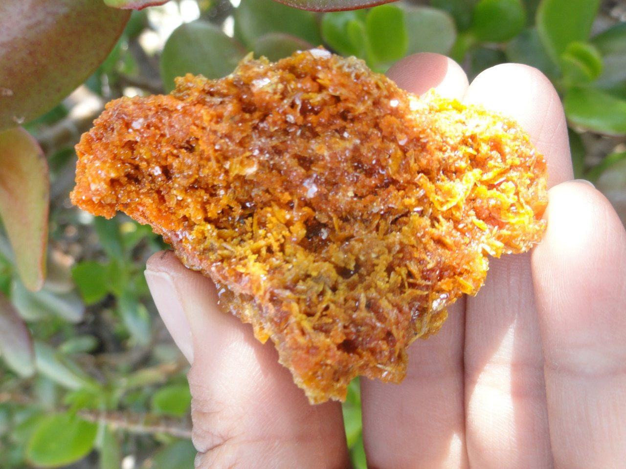 Bright Orange Wulfenite CLUSTER From Sonora. Mexico* - Earth Family Crystals
