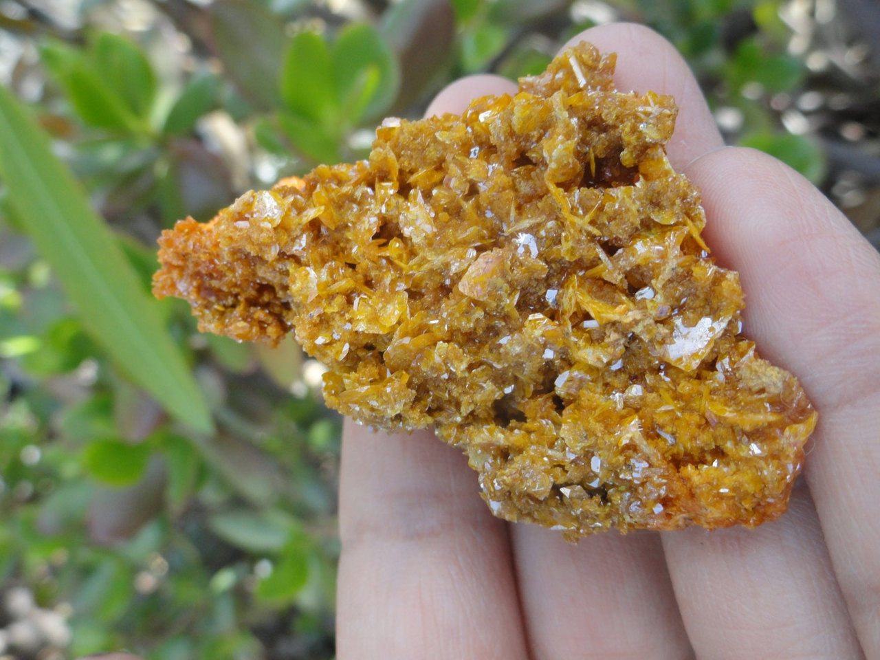 Bright Orange Wulfenite CLUSTER From Sonora. Mexico* - Earth Family Crystals