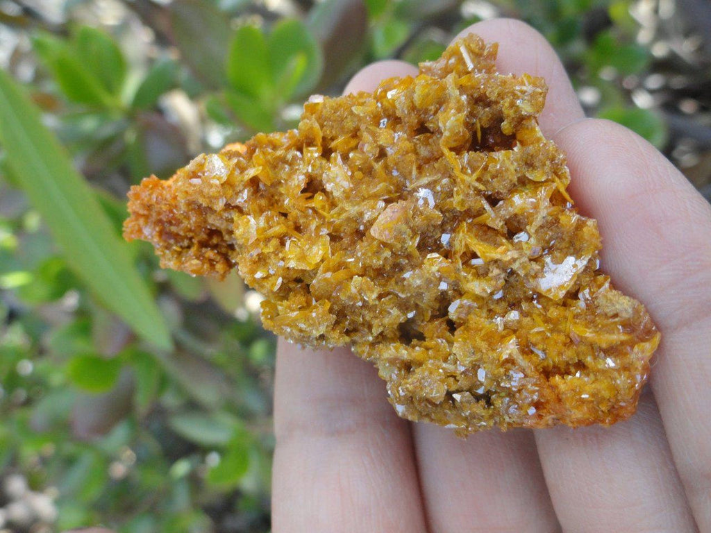 Bright Orange Wulfenite CLUSTER From Sonora. Mexico* - Earth Family Crystals